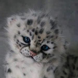 Meet your Posher, Lou ann